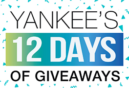 Twelve Days of Giveaways